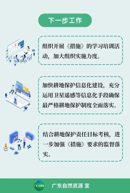 一、理解种子的概念与重要性