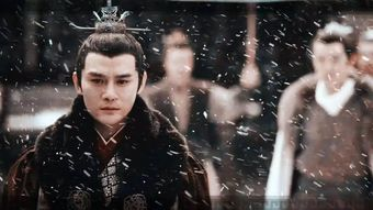 一、电视剧下载平台的选择