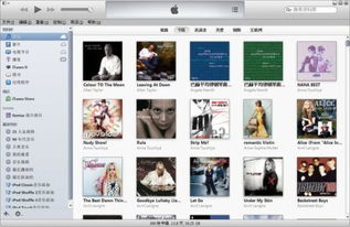 一、iTunes下载官网简介