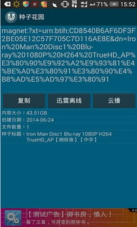 一、种子在线资源搜索神器的核心功能