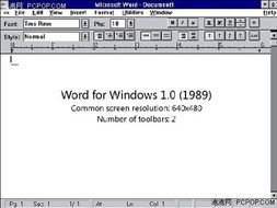 一、了解Word 2003的特点与需求
