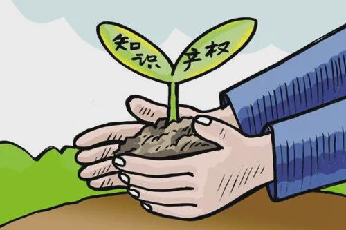 一、了解版权法规，尊重知识产权