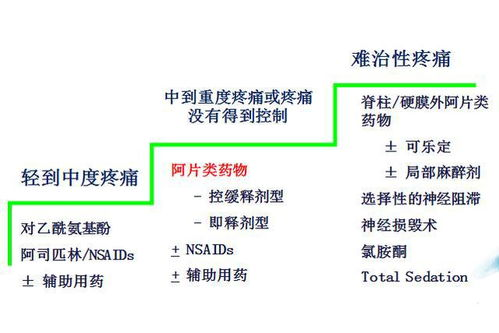 一、了解止痛药的分类及作用机制