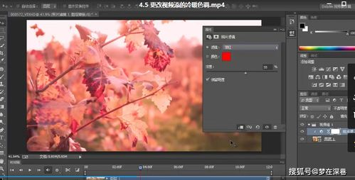 一、了解Photoshop界面与基本工具