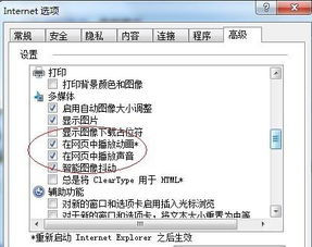 一、Flash SWF播放器的定义与作用