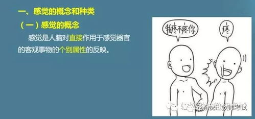 一、了解兴奋感的心理学基础