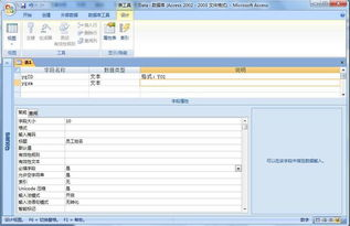 一、Access免费版概述