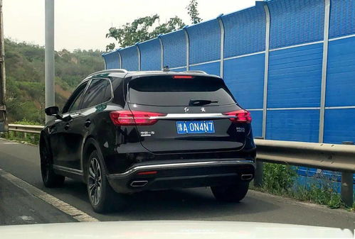 TP钱包被盗了怎么办：紧急应对与安全指南