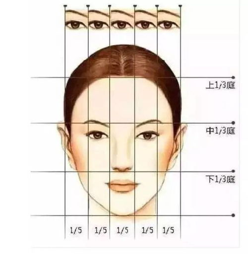 一、国字脸的特点及其在审美中的定位