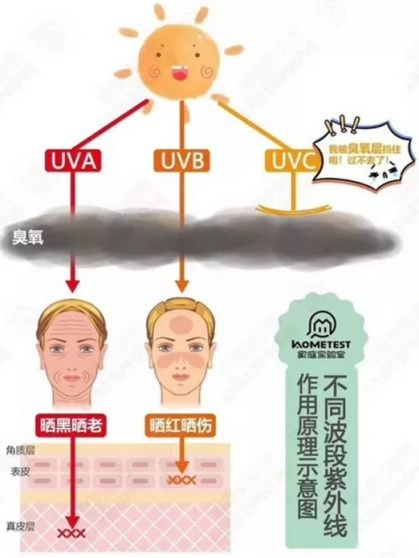 一、了解紫外线对皮肤的伤害