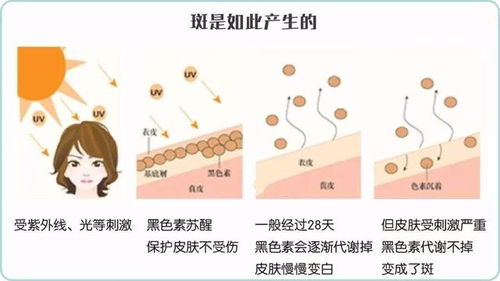 一、醋疗美容的原理与好处