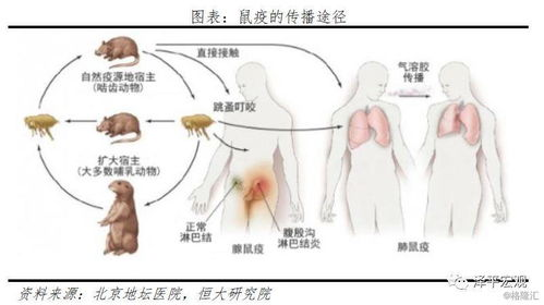 一、狐臭的成因及影响