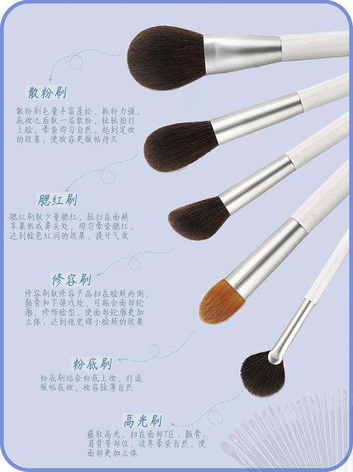 一、化妆基础工具的了解
