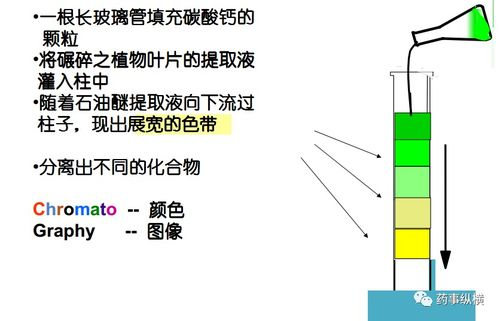 一、溶脂技术原理及分类