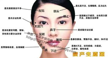 一、了解面部皮肤类型