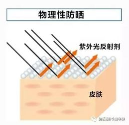 一、面膜的类别与作用原理