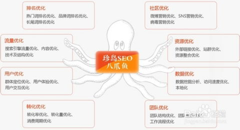 一、搜索引擎优化（SEO）策略