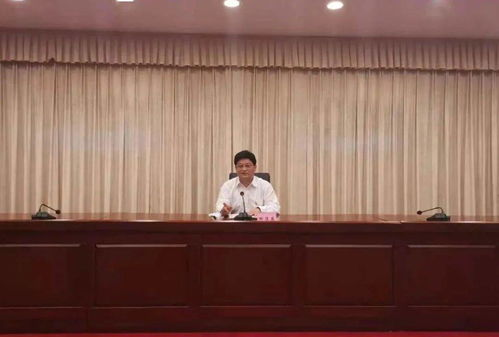 一、社区活动策划与实施