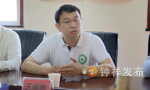 一、品牌定位案例：打造独特市场印象