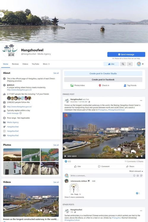 一、海外社交媒体平台概述