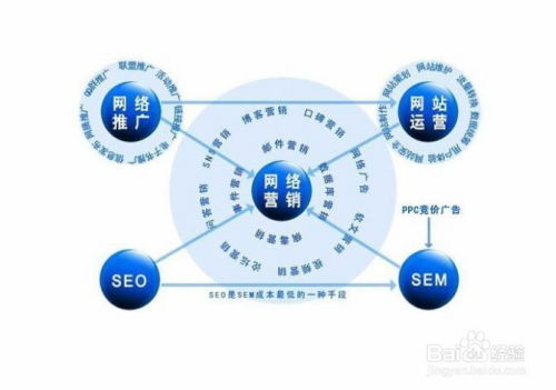 一、理解营销网络的重要性