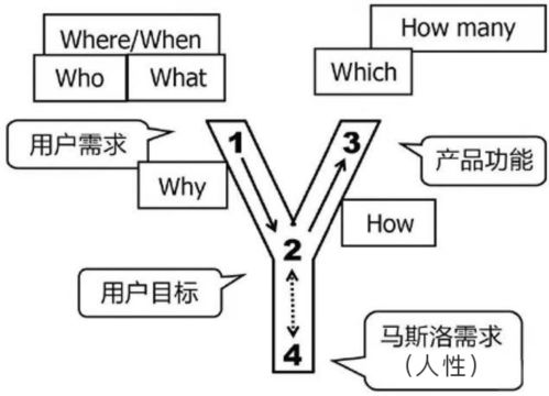 一、官网规模与功能需求