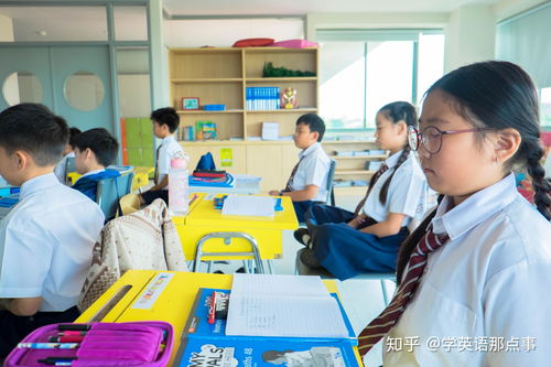 一、培训学校的特点与优势
