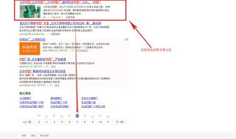 一、站群SEO系统概述