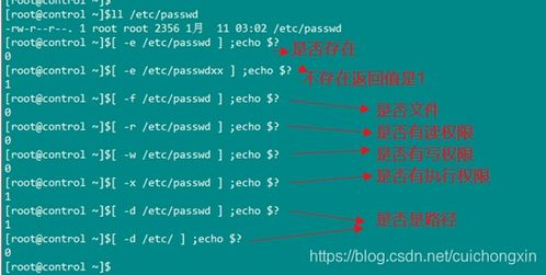 一、全网推广的基本概念与重要性