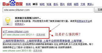 一、百度域名查询的重要性