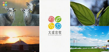 一、广告优化师的角色与重要性