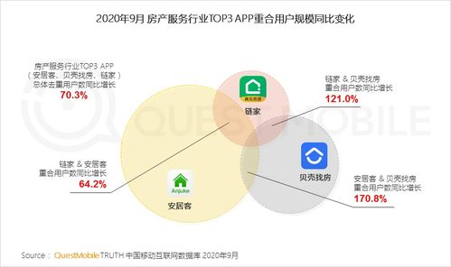 一、市场定位与用户分析
