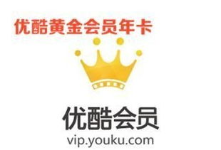 一、爱企查VIP会员服务简介