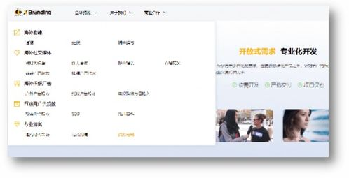 一、概述国内SaaS平台的发展现状