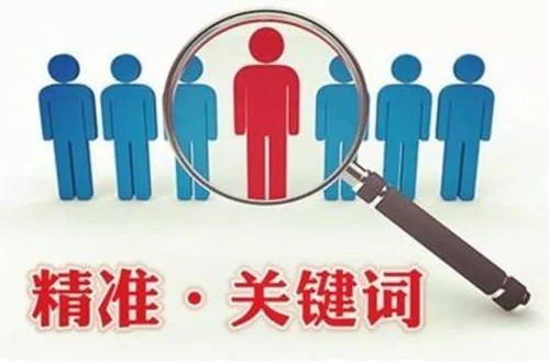 一、关键词优化与布局
