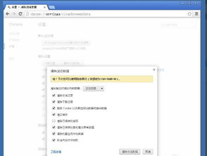 一、了解谷歌浏览器搜索引擎入口的基本功能