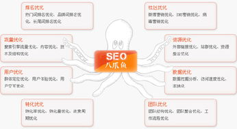 一、长沙SEO优化的市场现状