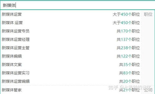 一、理解新媒体运营的基本概念