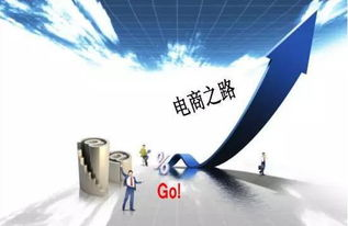 一、电商网站定制开发的优势