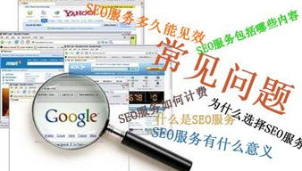 一、申泽SEO服务概述