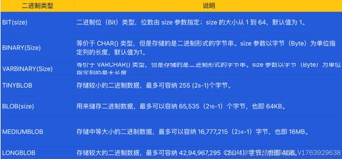 一、理解收录查询的基本原理