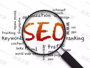 一、理解SEO综合查询分析工具的重要性
