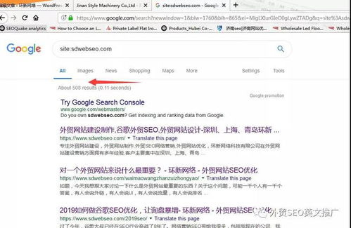一、理解SEO收录查询的重要性