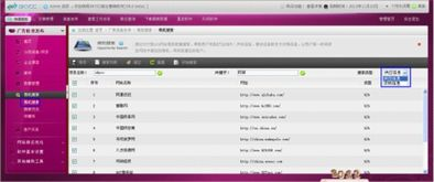 一、SEO排名优化软件的功能概述
