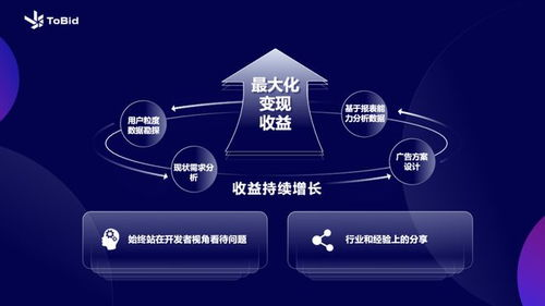 一、adset聚合广告平台概述