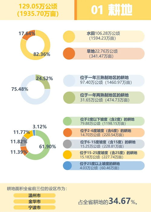 一、理解浙江市场特点