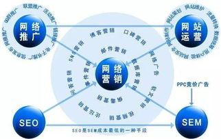 一、了解不同推广平台的特点