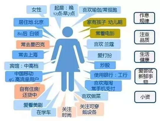 一、市场调研与用户画像