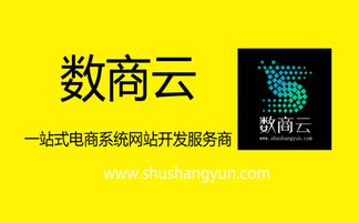 一、电商平台建设的前期准备