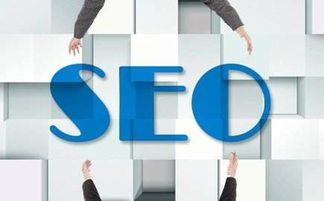 一、理解SEO查询工具的重要性